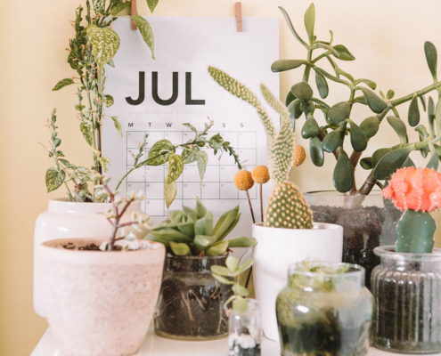 Photo by Maddi Bazzocco on Unsplash