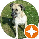 Sven E. profile picture